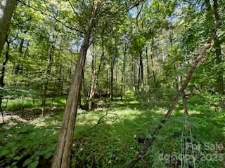 6200 Birdsong Road Concord, NC 28025 - Photo 5 of 8 Gallery Image 5