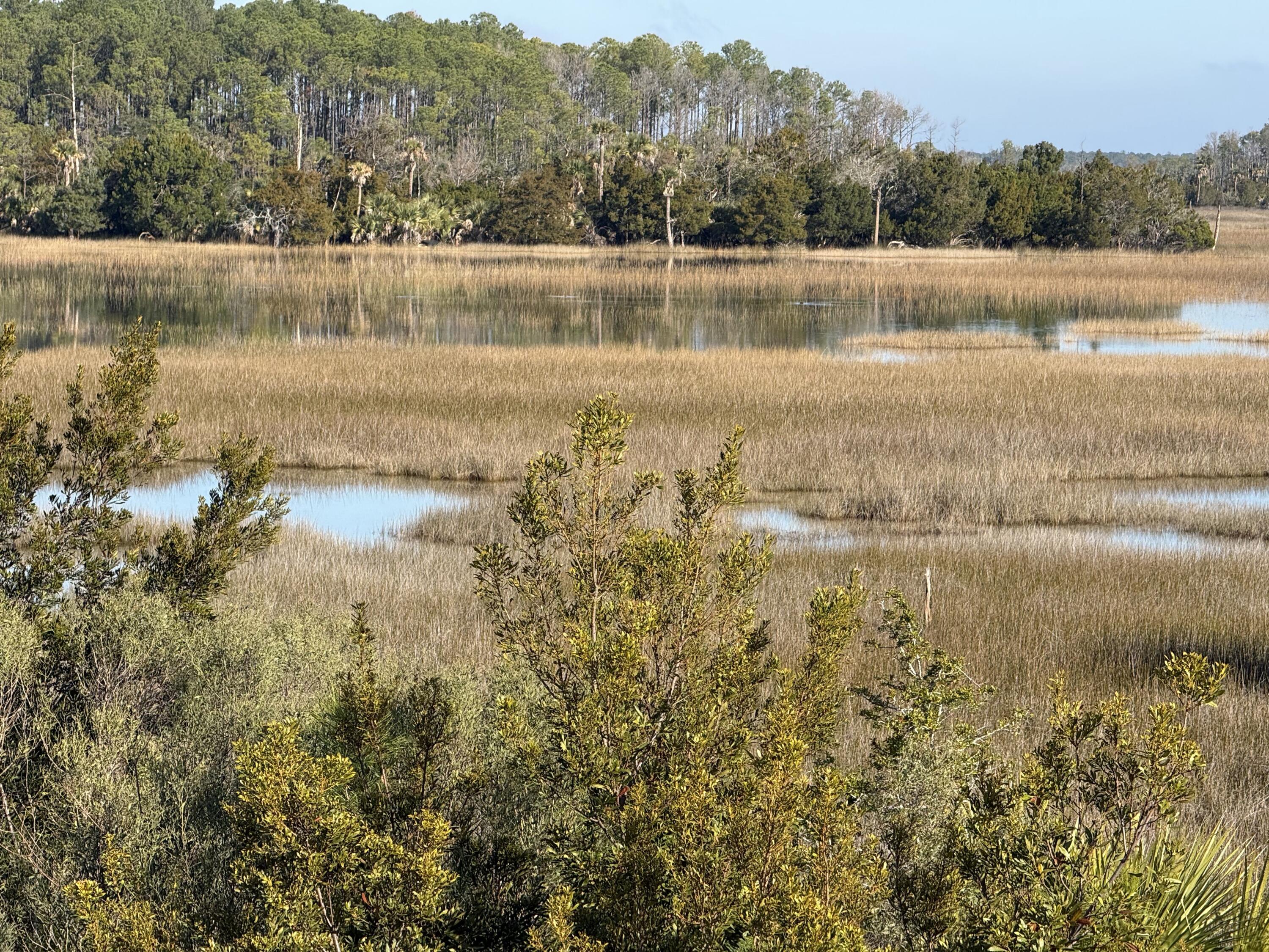 280 Captain Goddard Road Daniel Island, SC 29492 - Photo 79 of 85 79