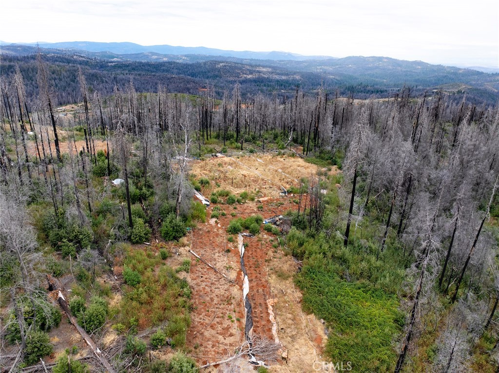 0 Stephens Ridge Road Berry Creek, CA 95916 - Photo 11 of 24