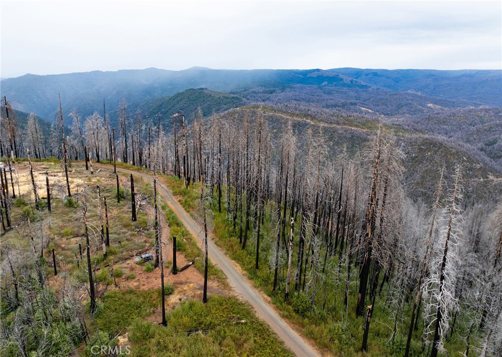 0 Stephens Ridge Road Berry Creek, CA 95916 - Photo 12 of 24