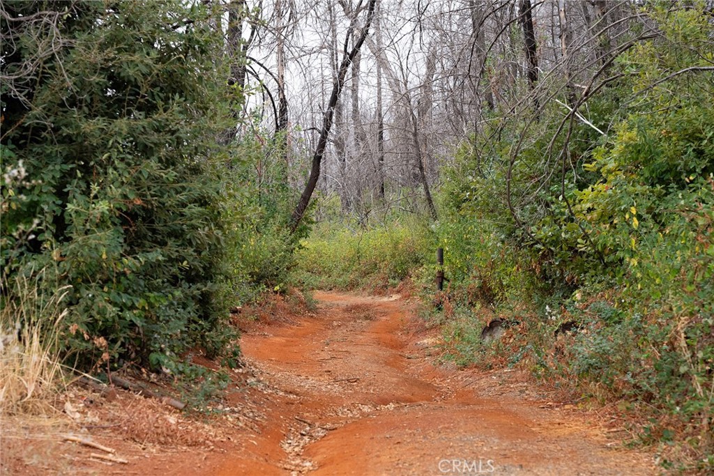 0 Stephens Ridge Road Berry Creek, CA 95916 - Photo 14 of 24