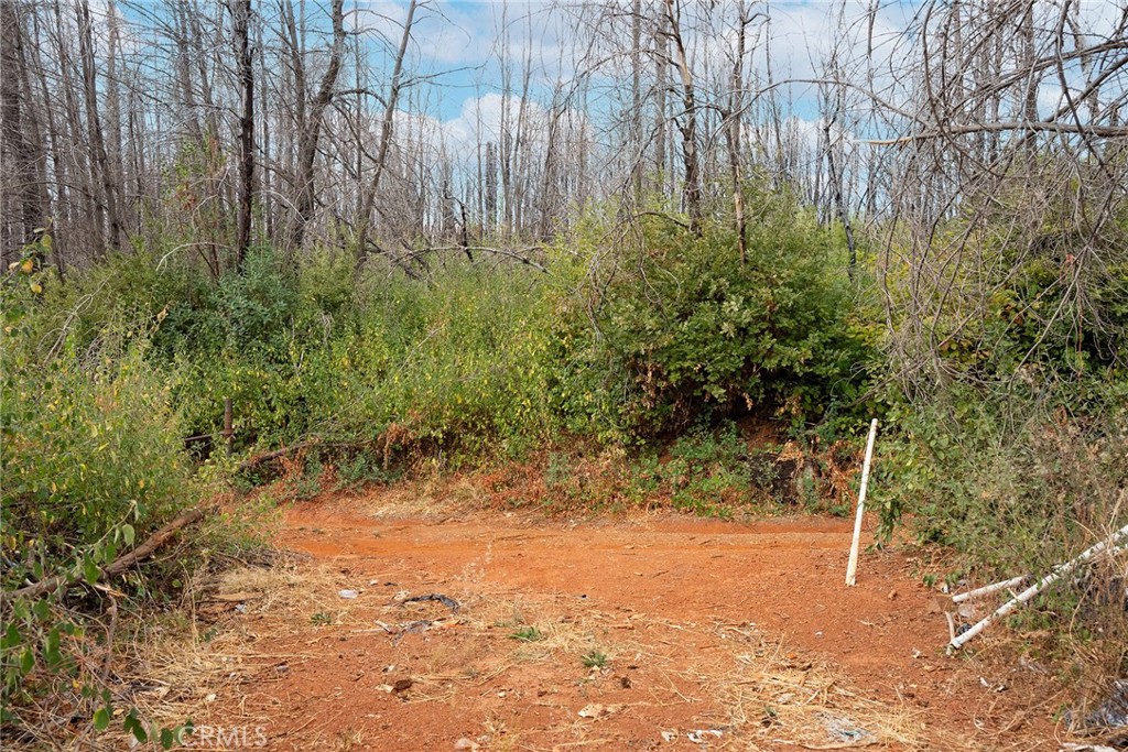 0 Stephens Ridge Road Berry Creek, CA 95916 - Photo 2 of 24