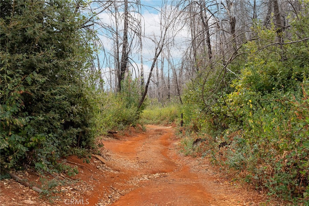 0 Stephens Ridge Road Berry Creek, CA 95916 - Photo 3 of 24