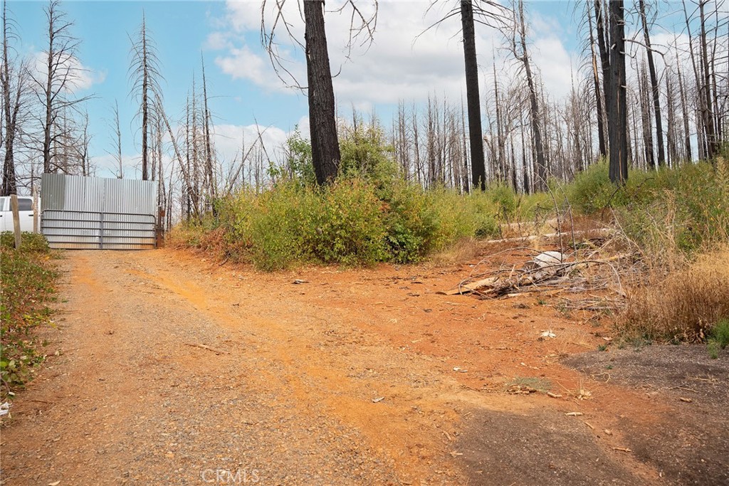 0 Stephens Ridge Road Berry Creek, CA 95916 - Photo 4 of 24