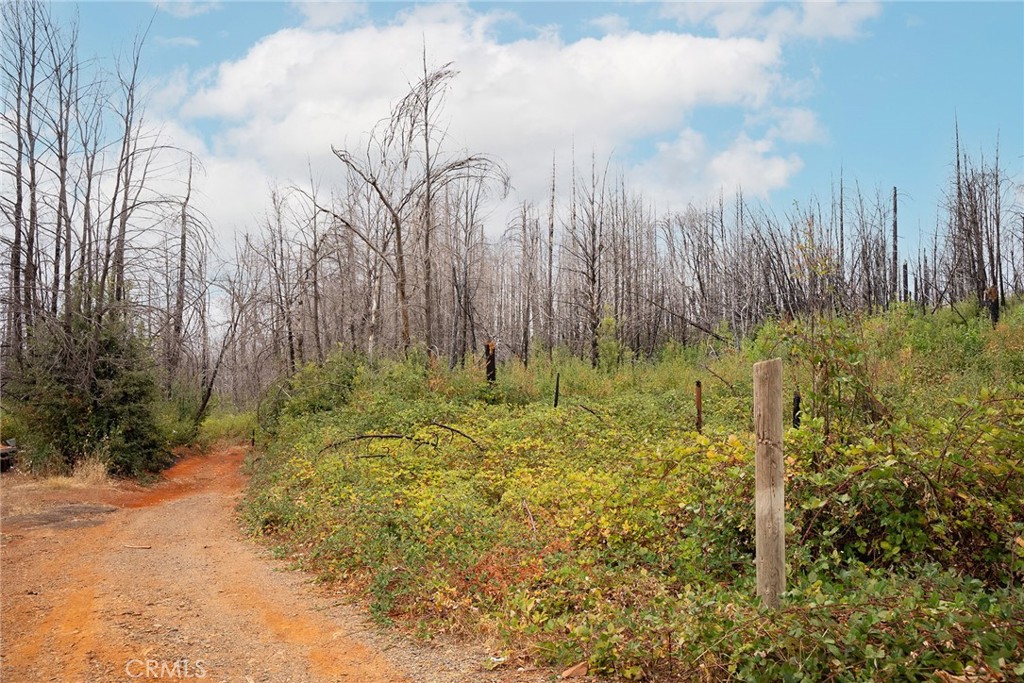 0 Stephens Ridge Road Berry Creek, CA 95916 - Photo 5 of 24