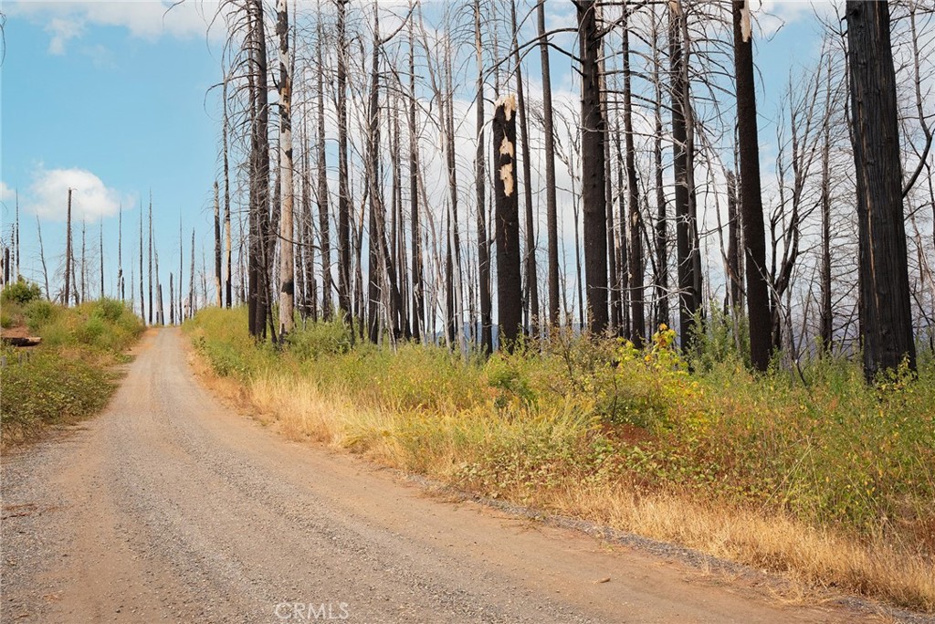 0 Stephens Ridge Road Berry Creek, CA 95916 - Photo 6 of 24