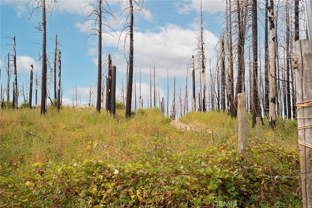0 Stephens Ridge Road Berry Creek, CA 95916 - Photo 7 of 24