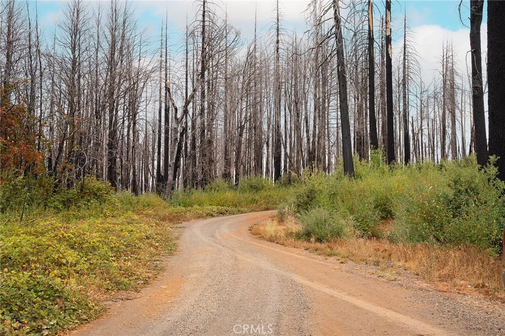 0 Stephens Ridge Road Berry Creek, CA 95916 - Photo 8 of 24