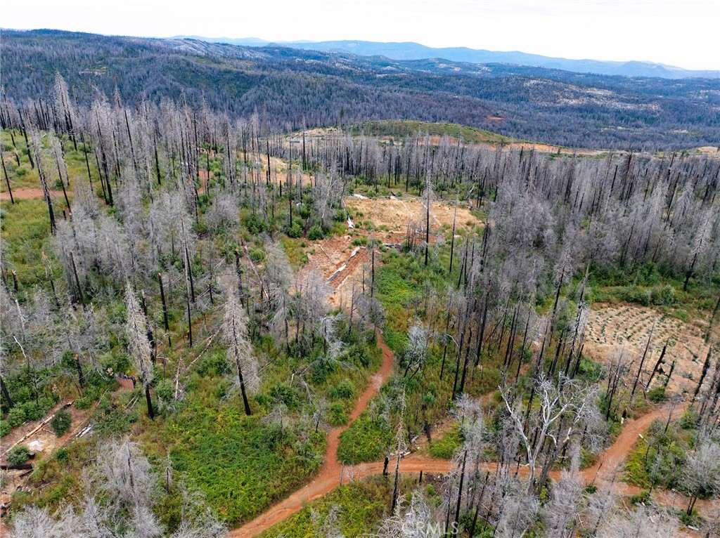 0 Stephens Ridge Road Berry Creek, CA 95916 - Photo 9 of 24