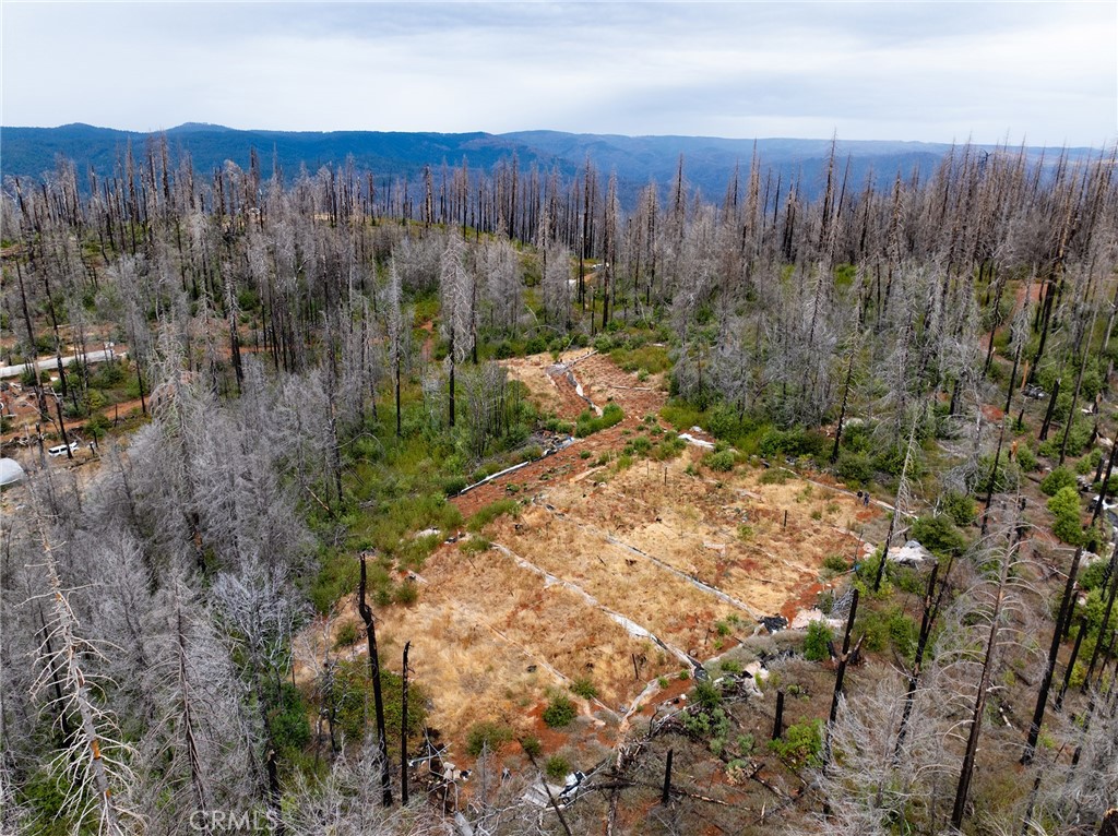 0 Stephens Ridge Road Berry Creek, CA 95916 - Photo 10 of 24