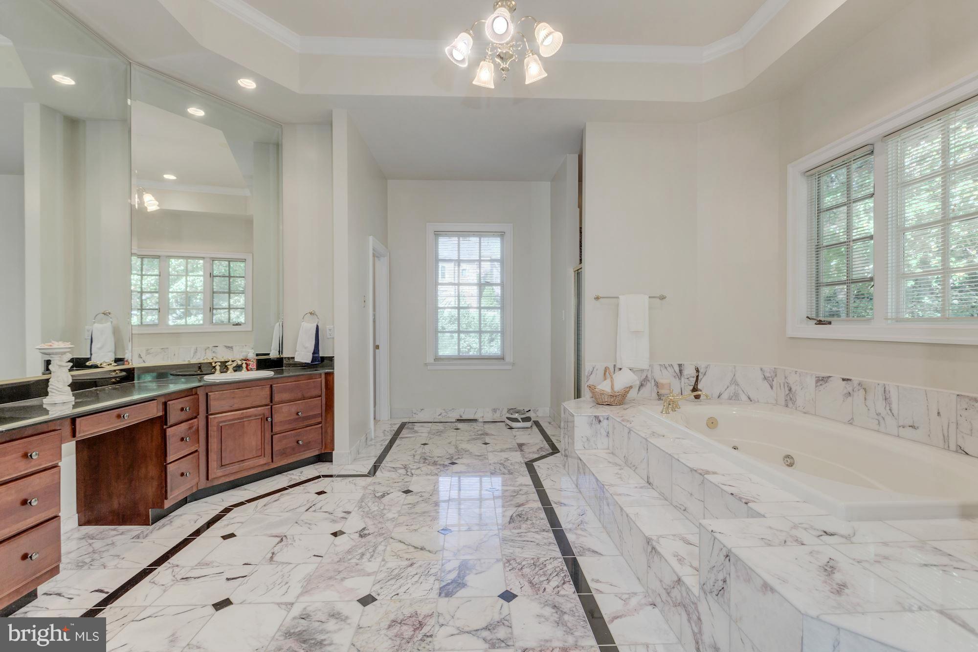 8738 Brook Road McLean, VA 22102 - Photo 14 of 29 Bath (Master)