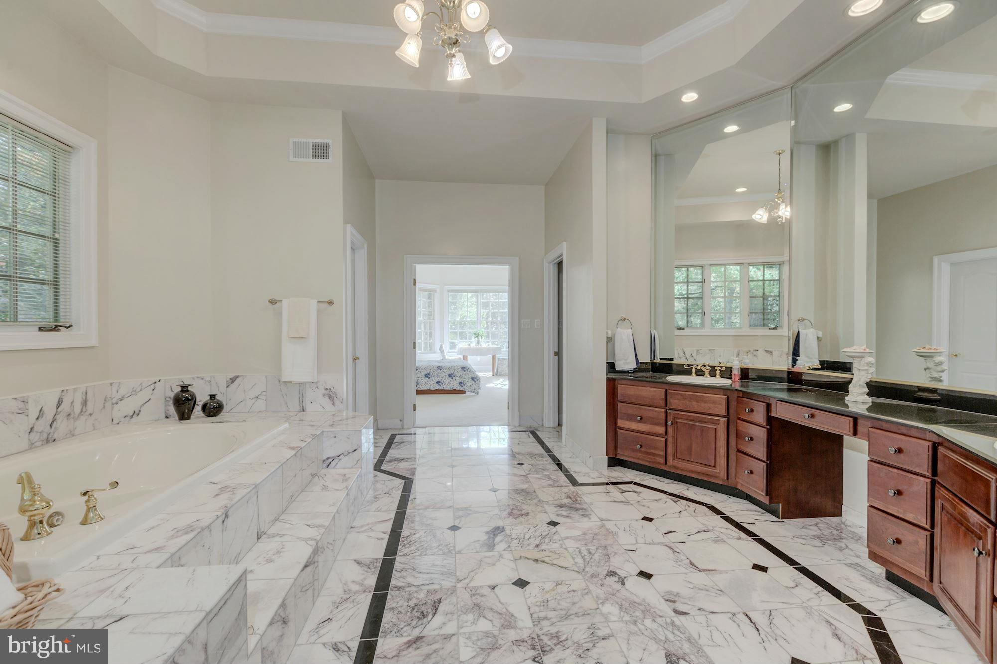 8738 Brook Road McLean, VA 22102 - Photo 15 of 29 Bath (Master)