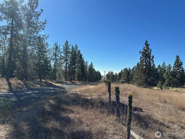 a view of a dry yard with trees