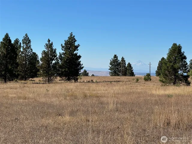 a view of a field with trees in the background