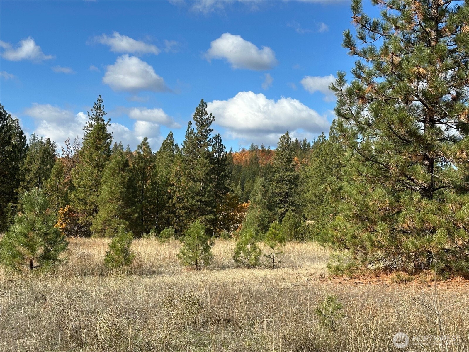 1 Garrison Road Goldendale, WA 98620 - Photo 6 of 8 a view of a yard