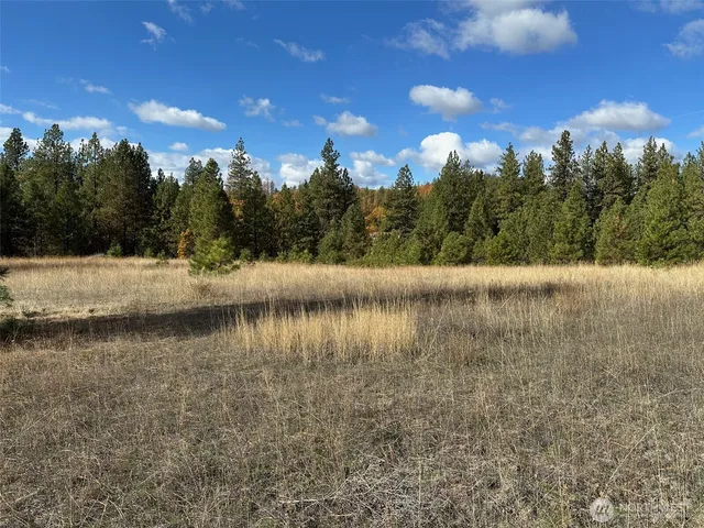 a view of a lake with a city