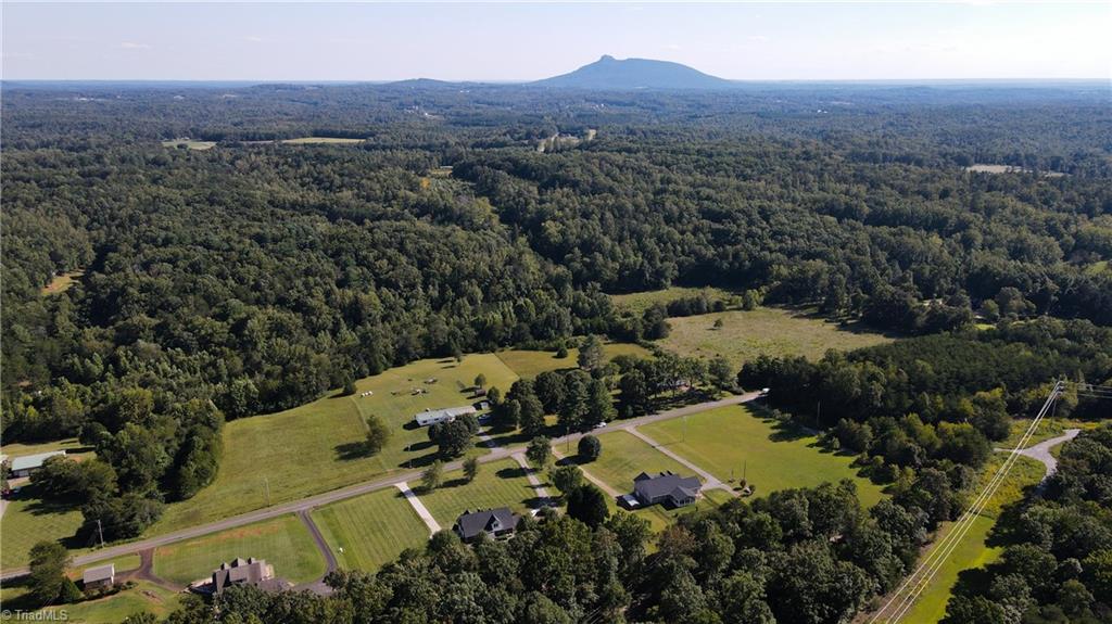 227 Precinct Road Pilot Mountain, NC 27041 - Photo 7 of 46 Gallery Image 7