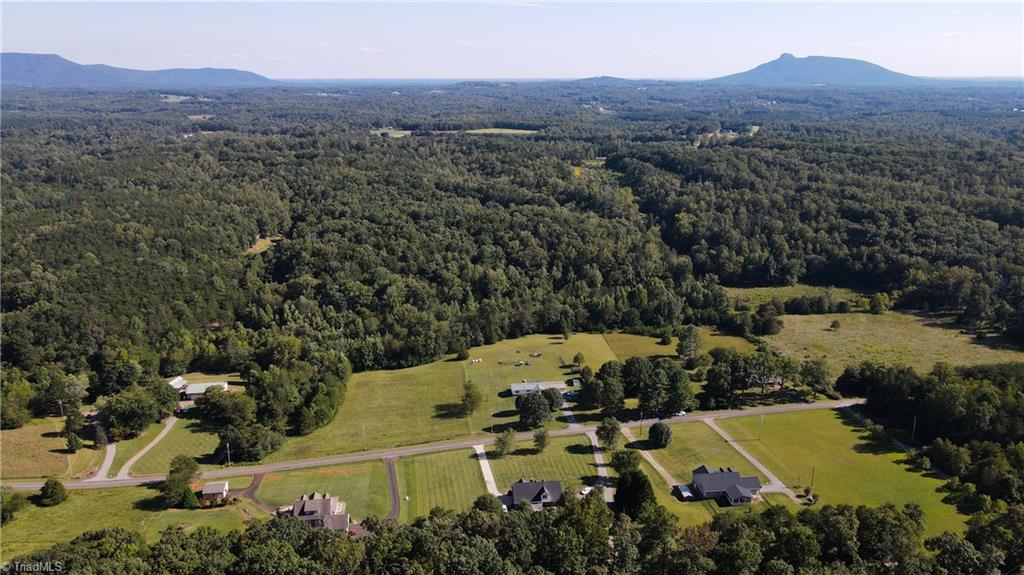 227 Precinct Road Pilot Mountain, NC 27041 - Photo 8 of 46 Gallery Image 8