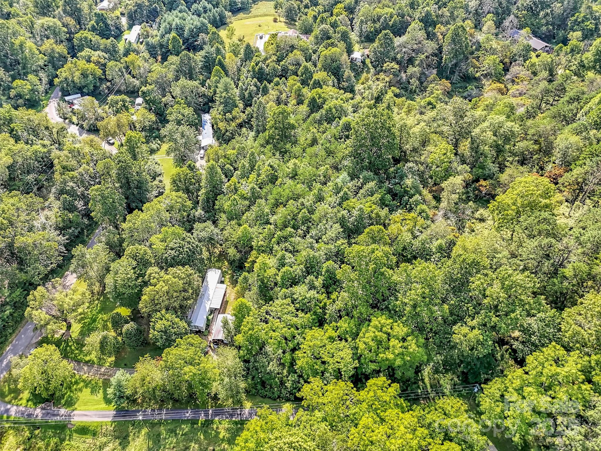 323 Jody Cove Road Canton, NC 28716 - Photo 2 of 28