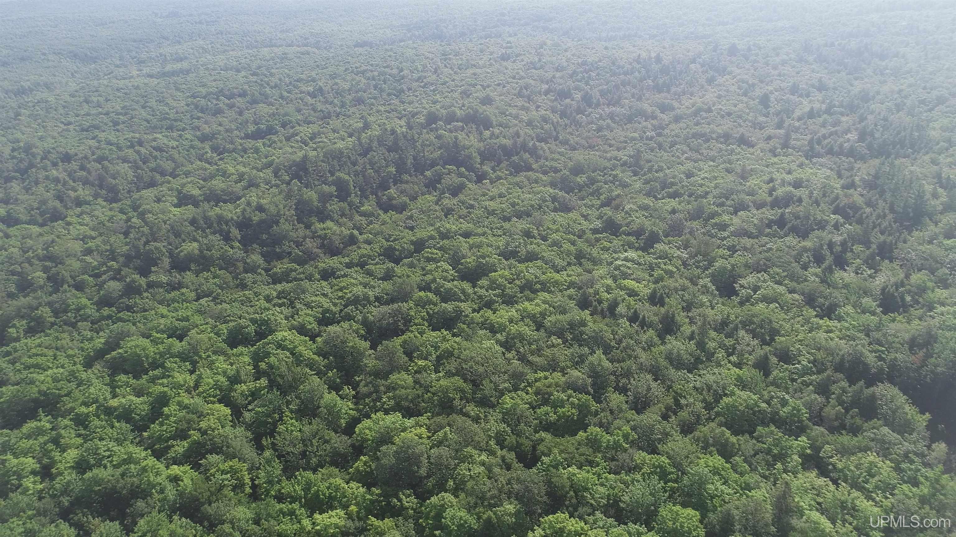 510 Rd Ishpeming Mi 49849 Road Negaunee, MI 49866 - Photo 19 of 33