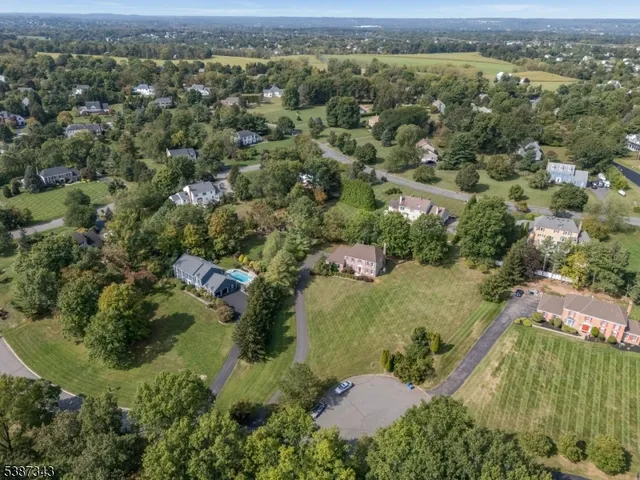 an aerial view of residential houses with outdoor space and trees