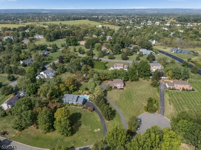 an aerial view of residential houses with outdoor space and trees