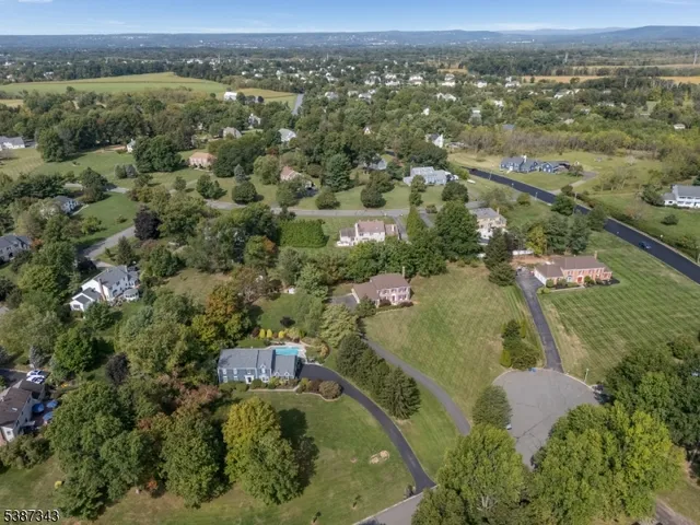 an aerial view of residential houses with outdoor space and trees