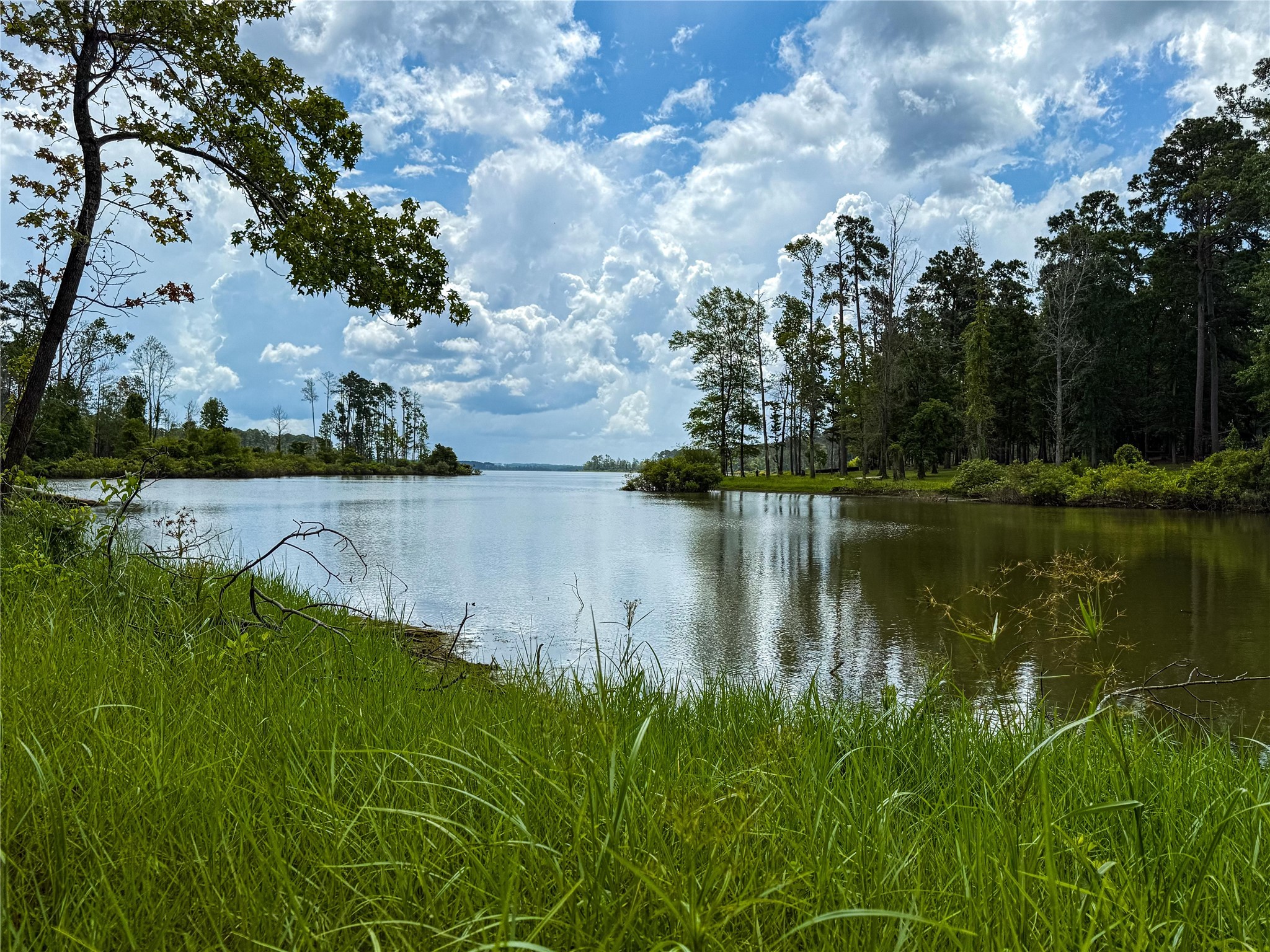 a view of lake with green space