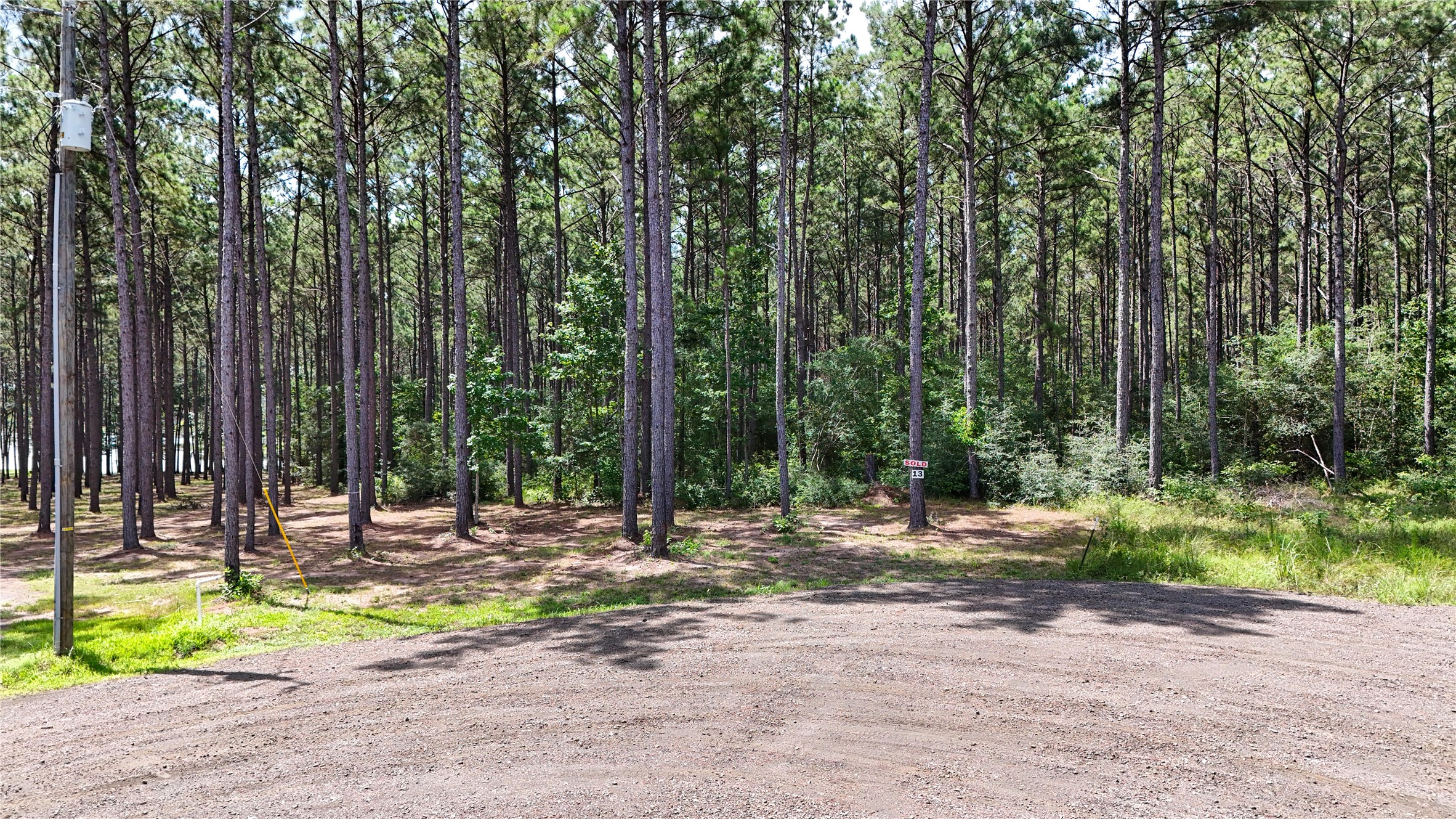 705 FM 705 Broaddus, TX 75929 - Photo 8 of 14 a view of outdoor space with trees