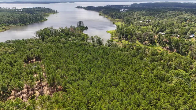 a view of a lake with a city