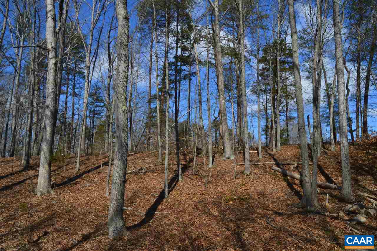 Lot 1 Deep Creek Road Palmyra, VA 22963 - Photo 3 of 7 a view of a backyard of a house