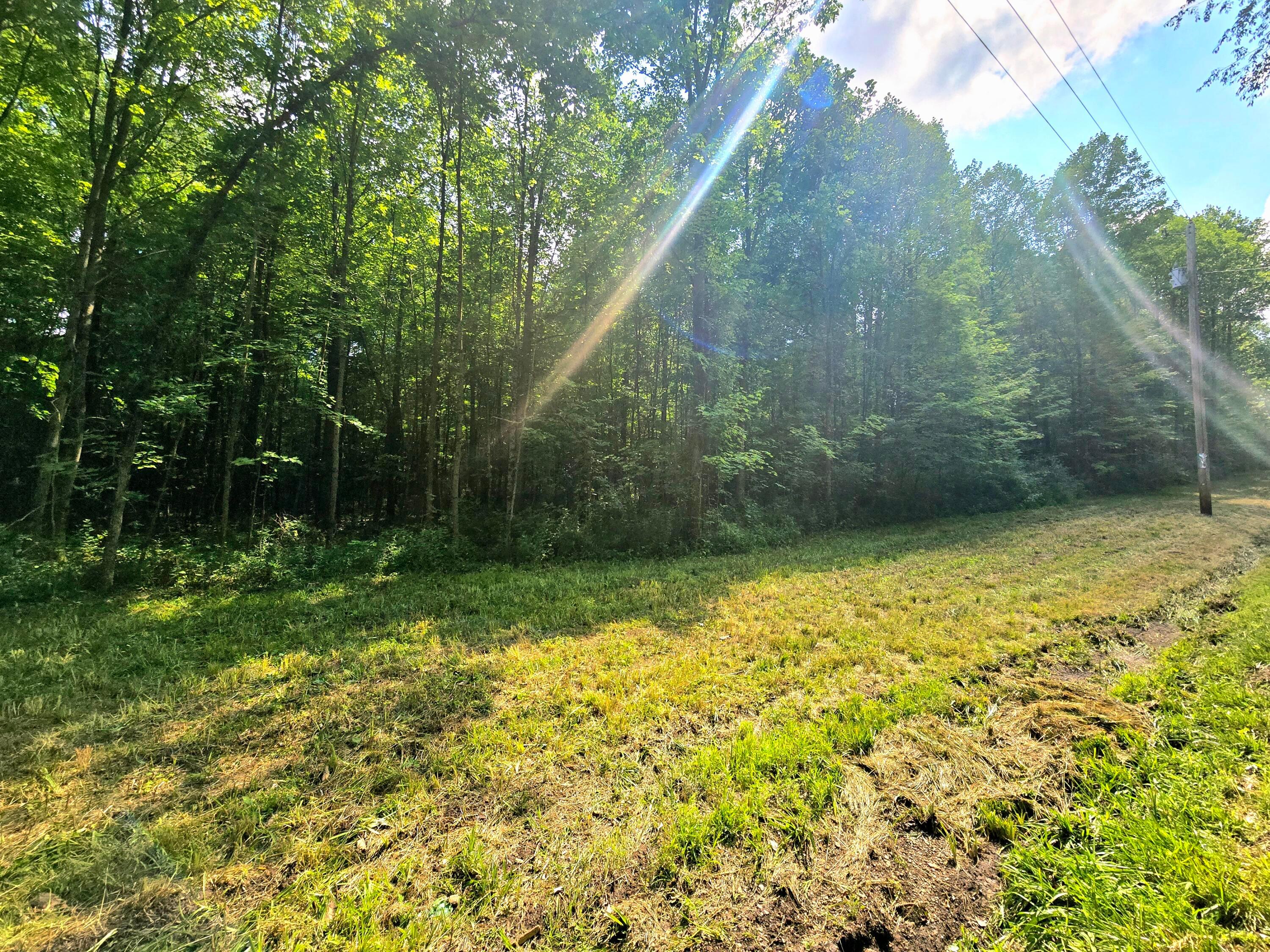 9026 Gregg Road Fredericktown, OH 43019 - Photo 17 of 17 1000062287