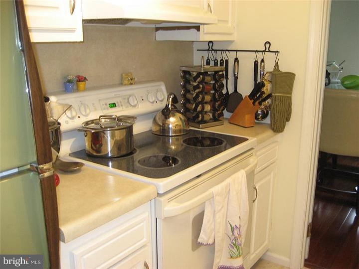 102 Llanfair Road, Unit 21 Ardmore, PA 19003 - Photo 9 of 14 Kitchen