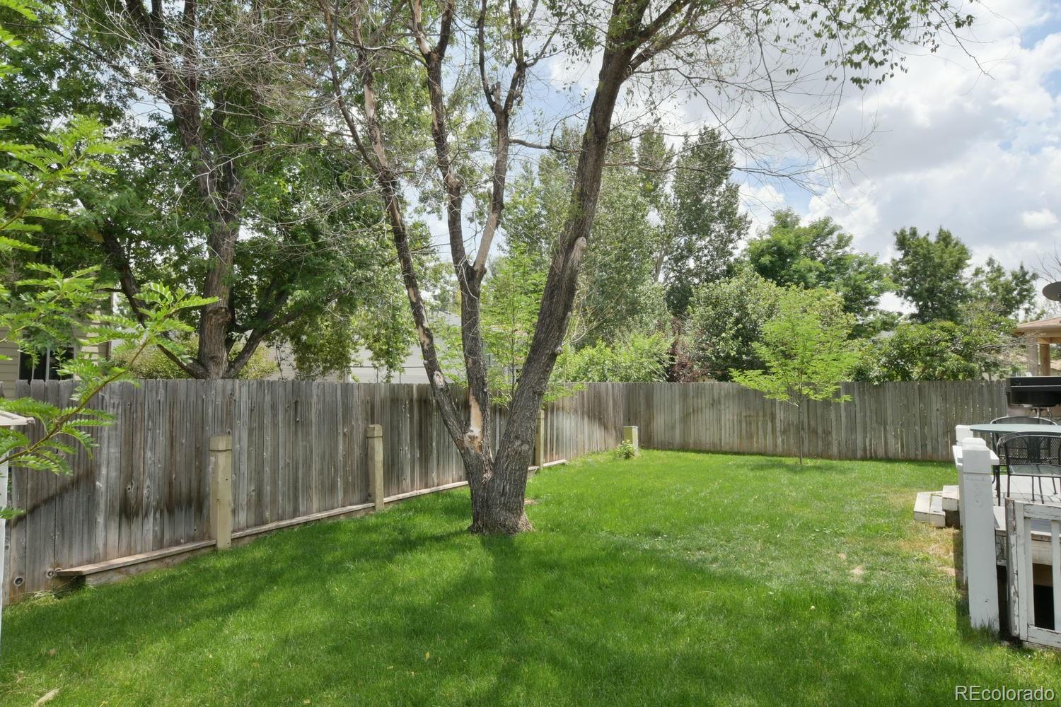 8420 Rabbitbrush Way Parker, CO 80134 - Photo 25 of 27 Gallery Image 25
