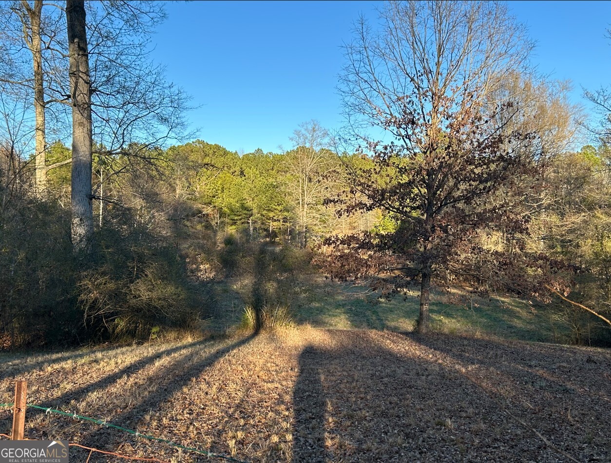 2734 Flat Shoals Road, Unit 5 Concord, GA 30206 - Photo 28 of 30