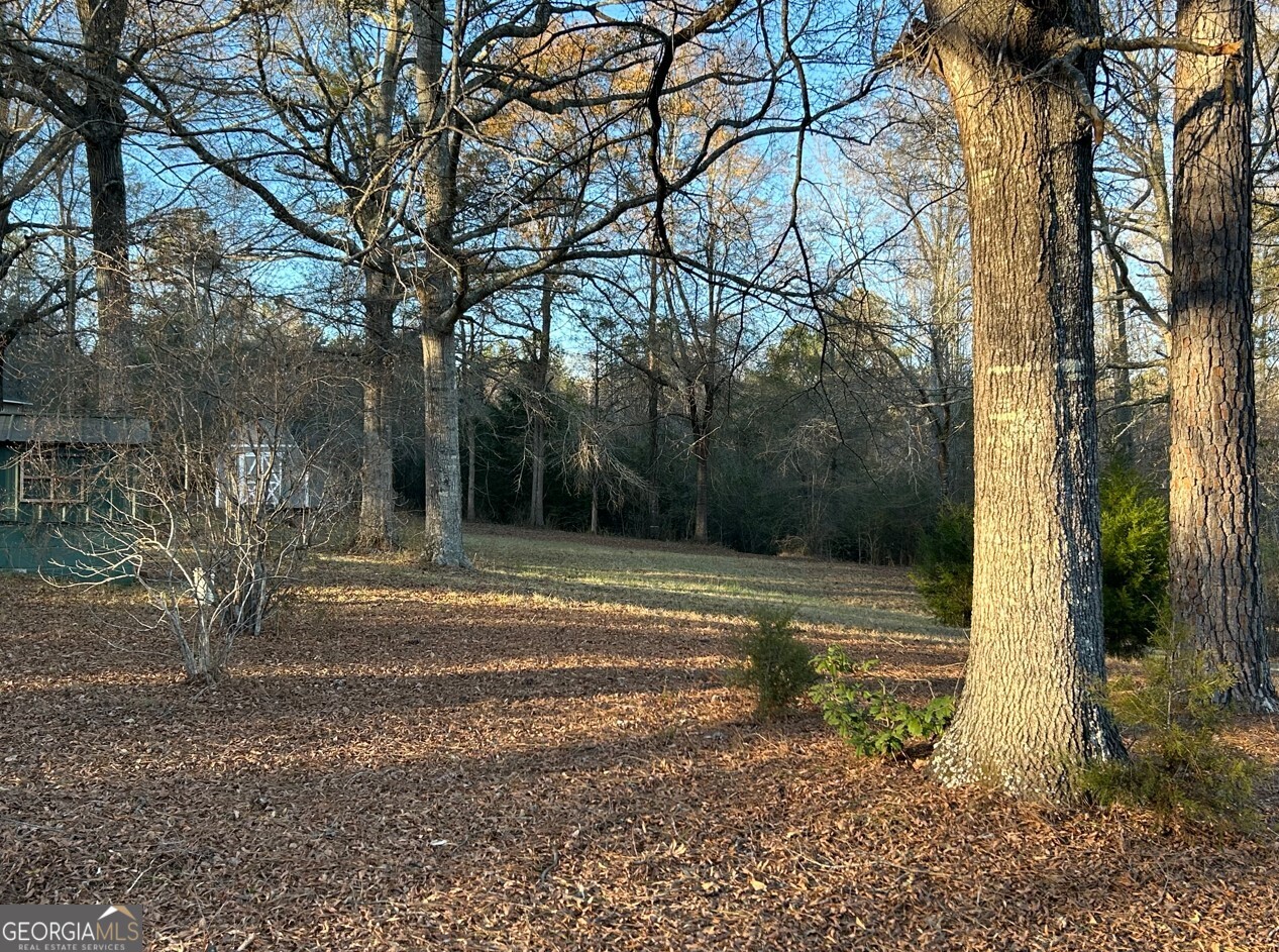 2734 Flat Shoals Road, Unit 5 Concord, GA 30206 - Photo 29 of 30