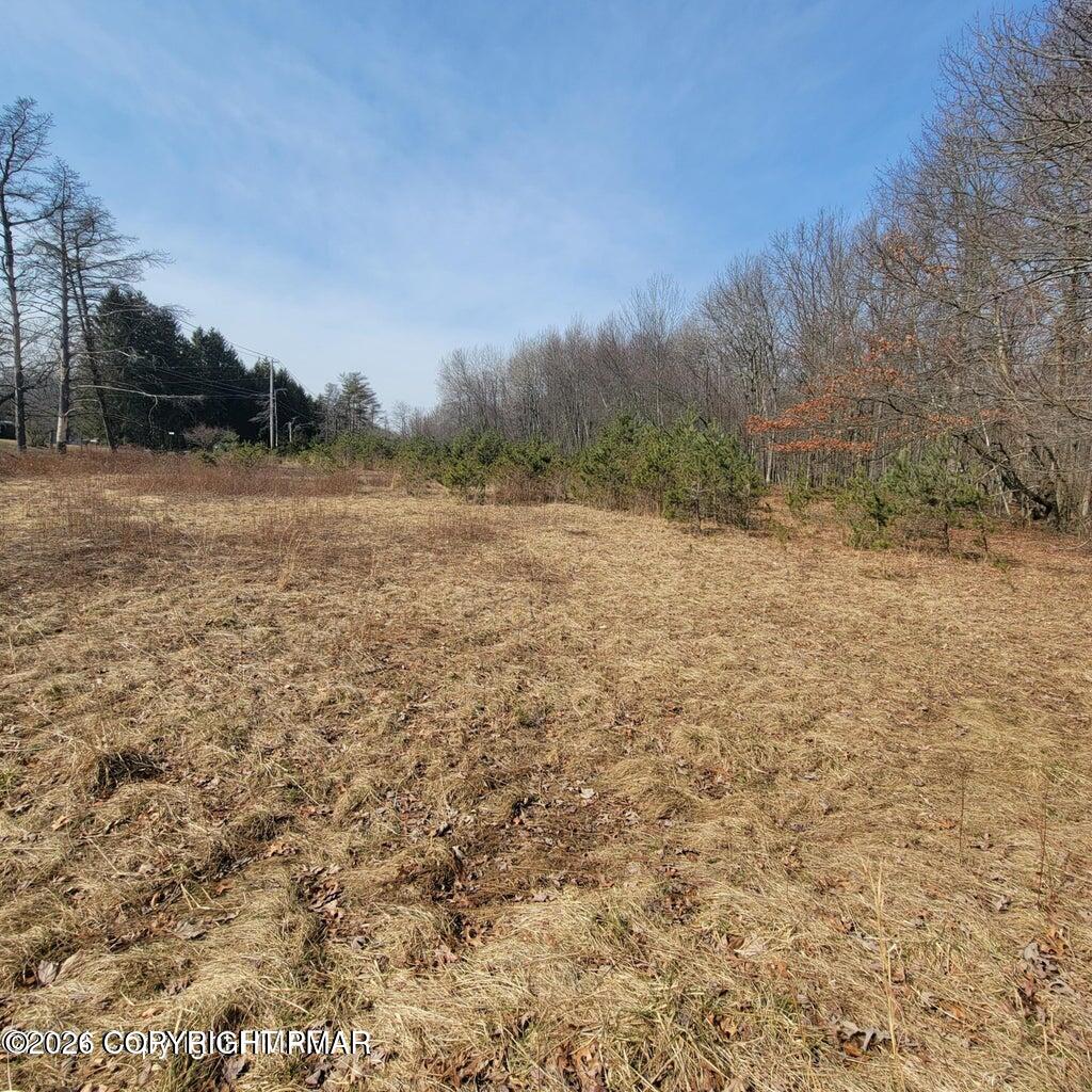 479 Jonas Road Effort, PA 18330 - Photo 3 of 8 20260613194604754003000000-o