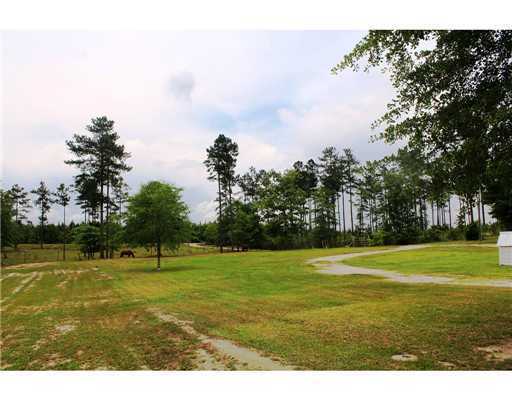 6107 Dickerson Sawmill Road Lucedale, MS 39452 - Photo 21 of 25 Additional Photo