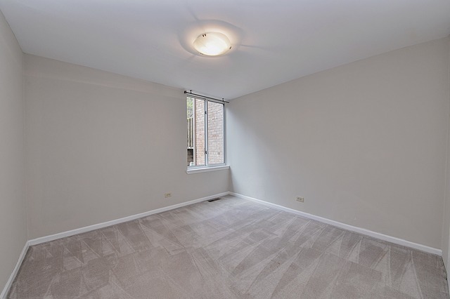 5904 Forest View Road, Unit 1F Lisle, IL 60532 - Photo 9 of 12