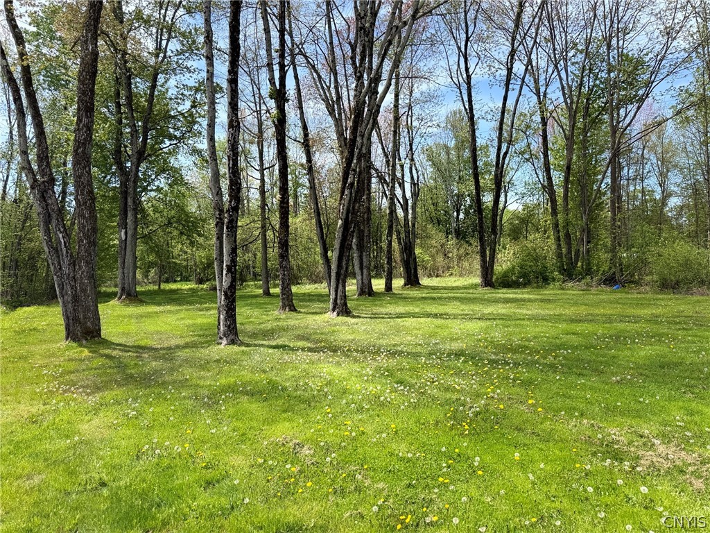 1460 Lamoy Road Sullivan, NY 13082 - Photo 14 of 15