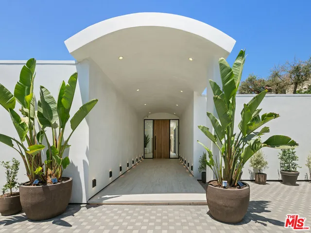 a potted plant sitting in front of a glass door