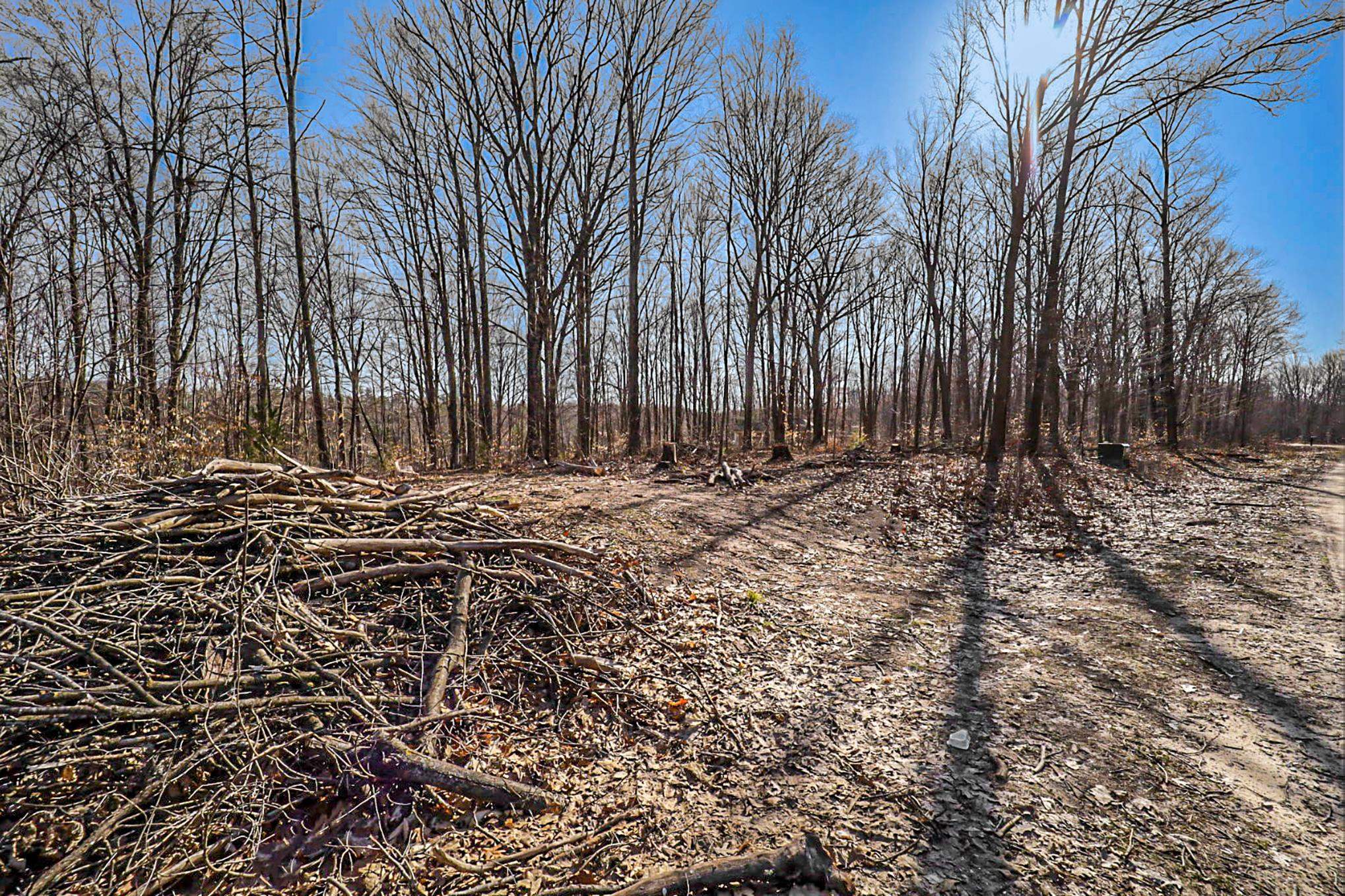 0 Heather Ridge Trail, Unit LOT 6 Beulah, MI 49617 - Photo 15 of 23