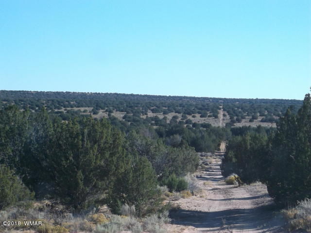 Lot 159 Witch Well Ranch St. Johns, AZ 85936 - Photo 2 of 3