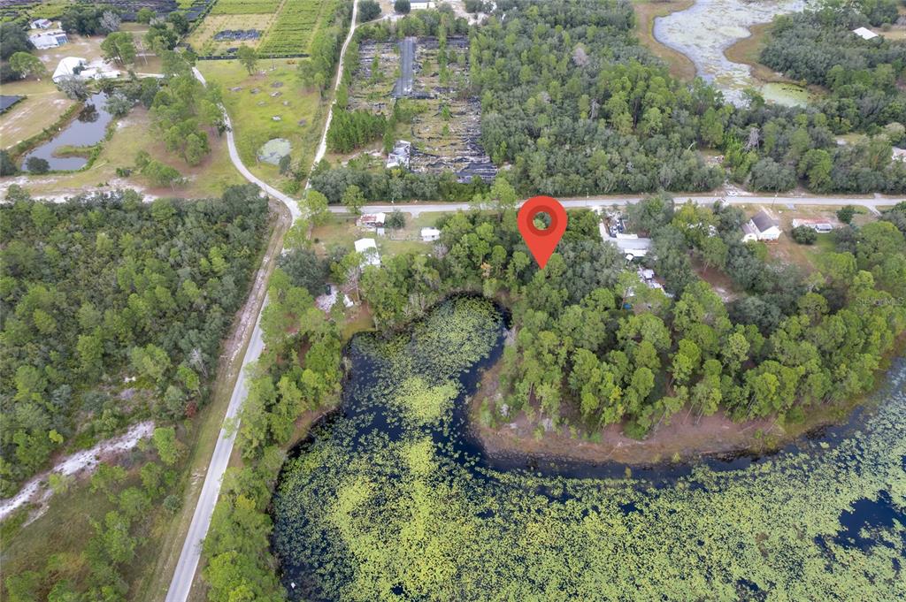 Pinecrest Road Eustis, FL 32736 - Photo 5 of 7 a view of a plant in a garden