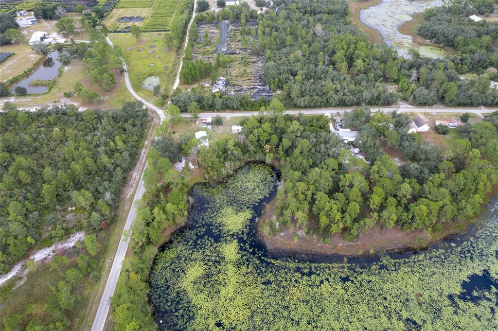 Pinecrest Road Eustis, FL 32736 - Photo 6 of 7 a view of a plant in a garden