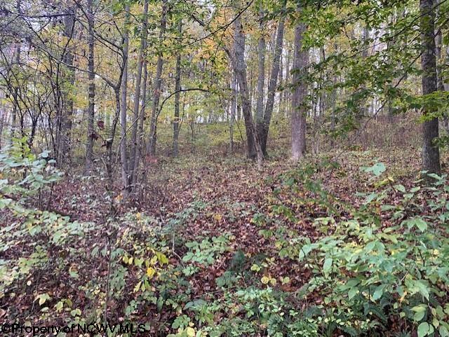 6-acres Hidden Valley Road Jane Lew, WV 26378 - Photo 5 of 10 Gallery Image 5