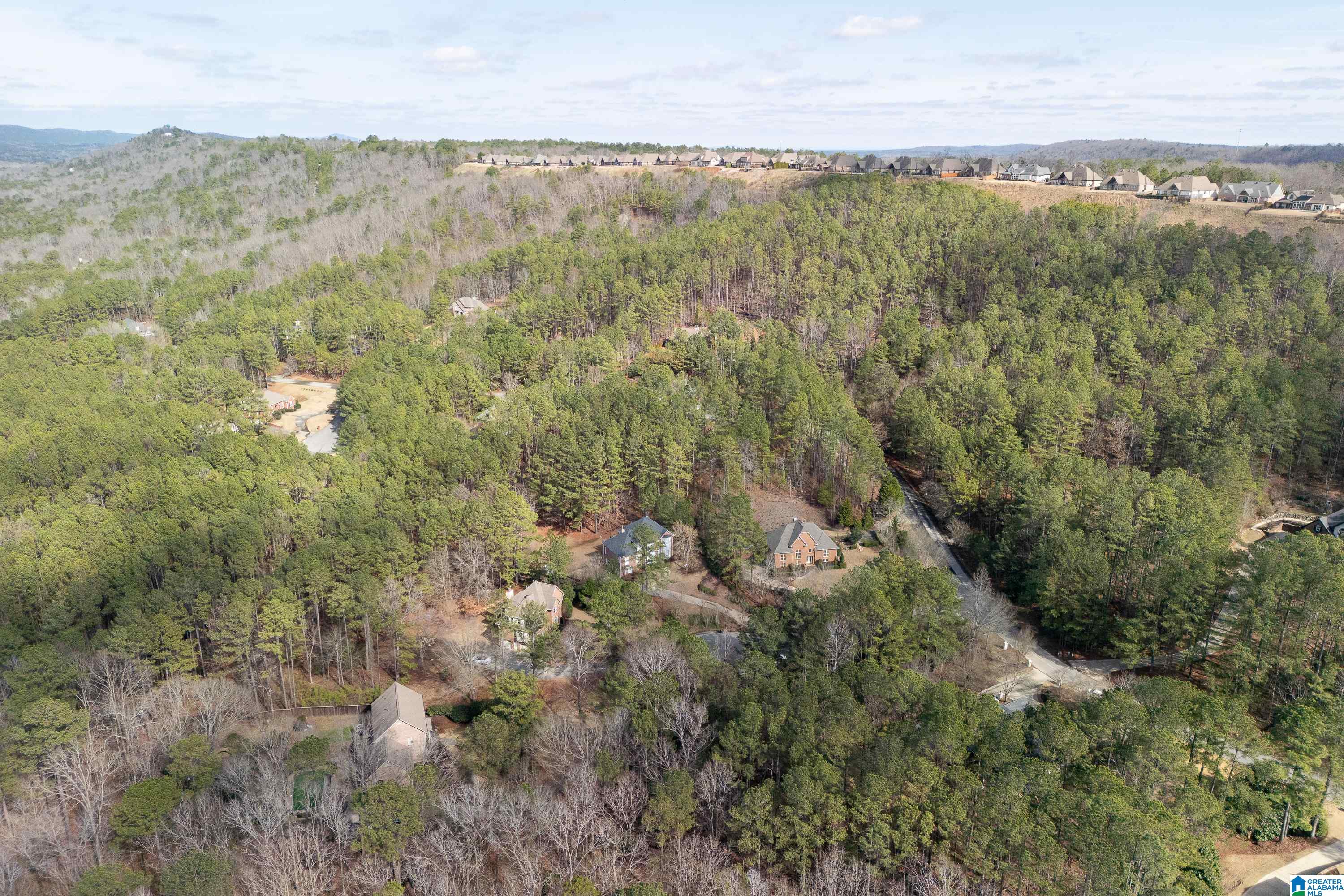 104 Windsor Trail Pelham, AL 35124 - Photo 79 of 79