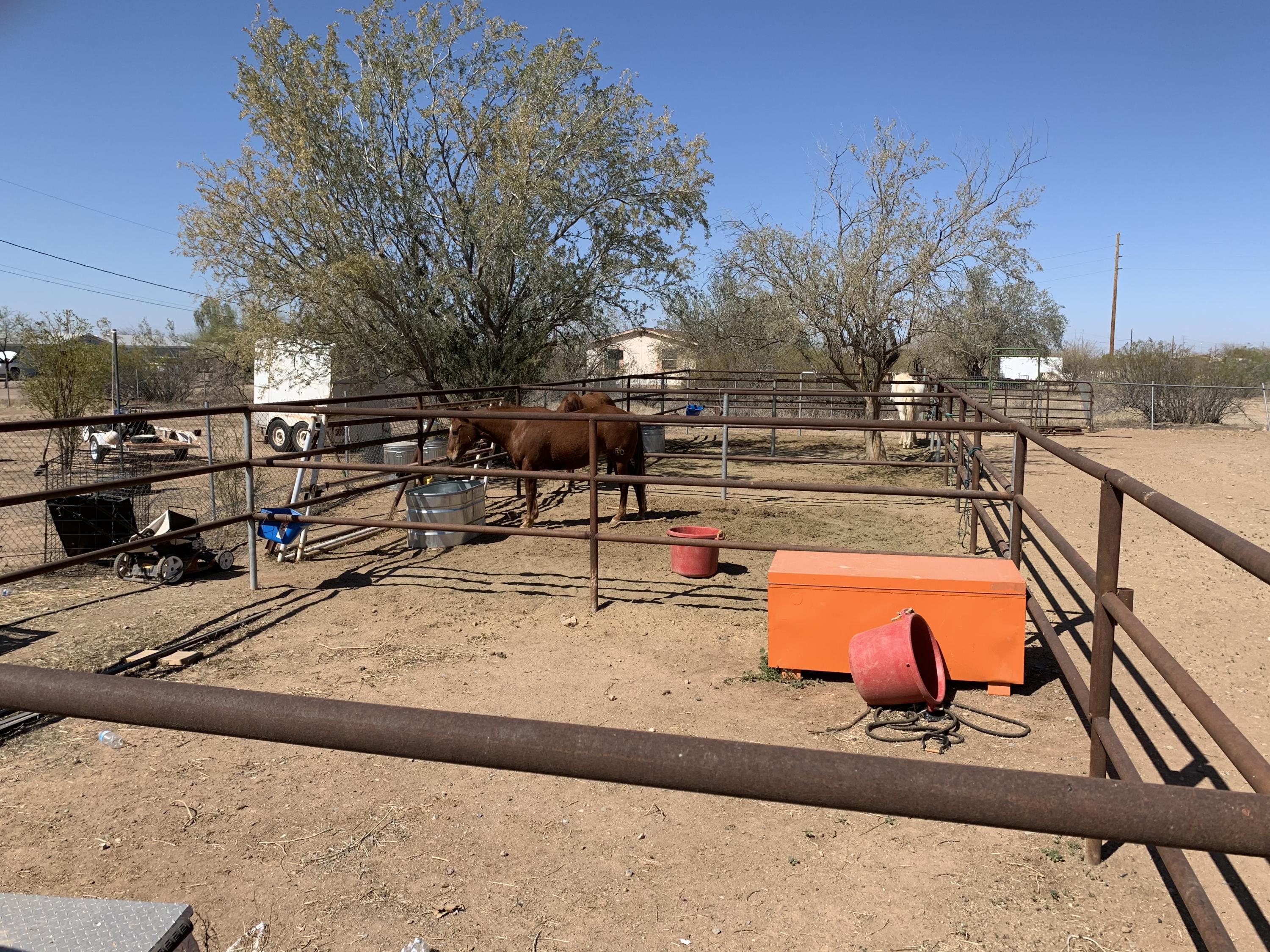 32380 North Felix Road San Tan Valley, AZ 85143 - Photo 20 of 20 IMG-1489