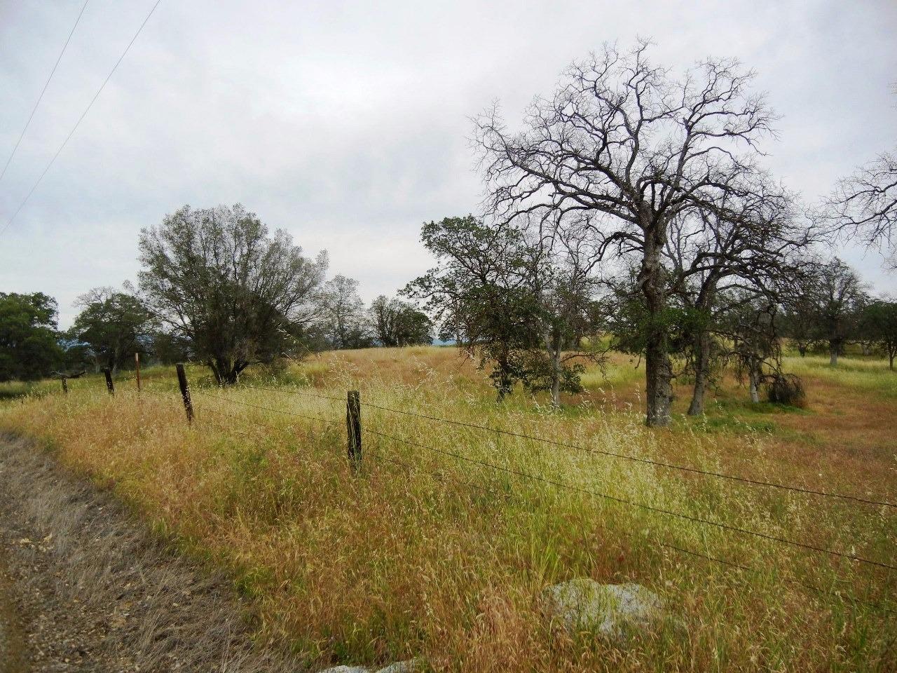0 Ben Hur Road Raymond, CA 93653 - Photo 1 of 31 Gallery Image 1