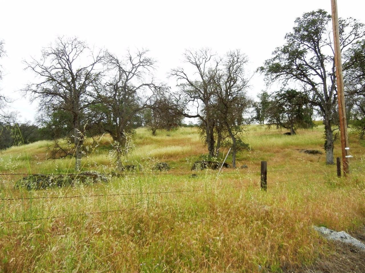 0 Ben Hur Road Raymond, CA 93653 - Photo 12 of 31 Gallery Image 12